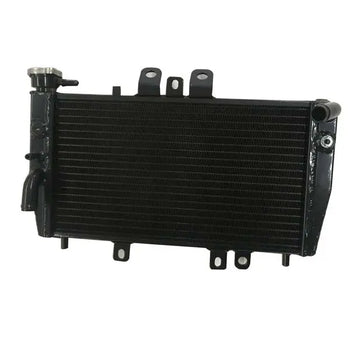 Triumph Speed Triple 955i 2002 2003 Aluminum Radiator BLACK HCSPEED