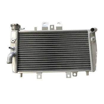 Triumph Speed Triple 955i Aluminum Radiator 2000 2001 2002 2003 2004 HCSPEED