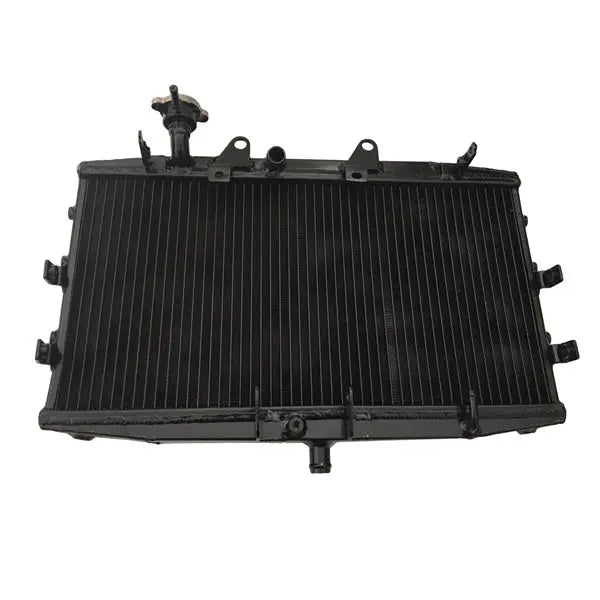 Triumph Rocket 3 Aluminum Radiator 2008 2006 2004-2017 2005 2007 08 09 ...